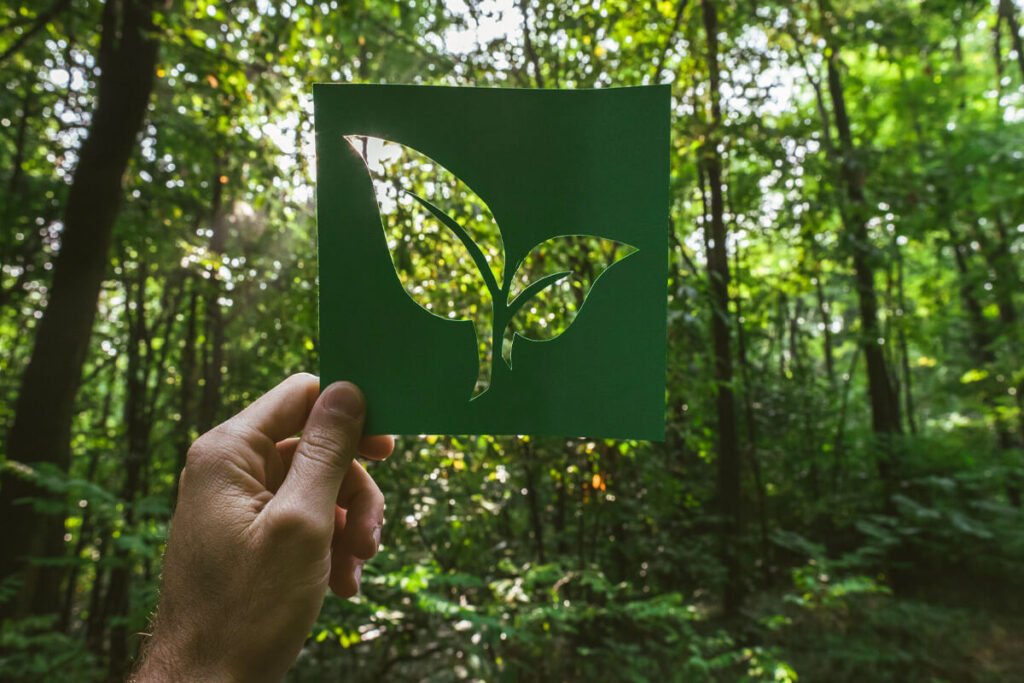 empapel embalagens armazenamento de carbono